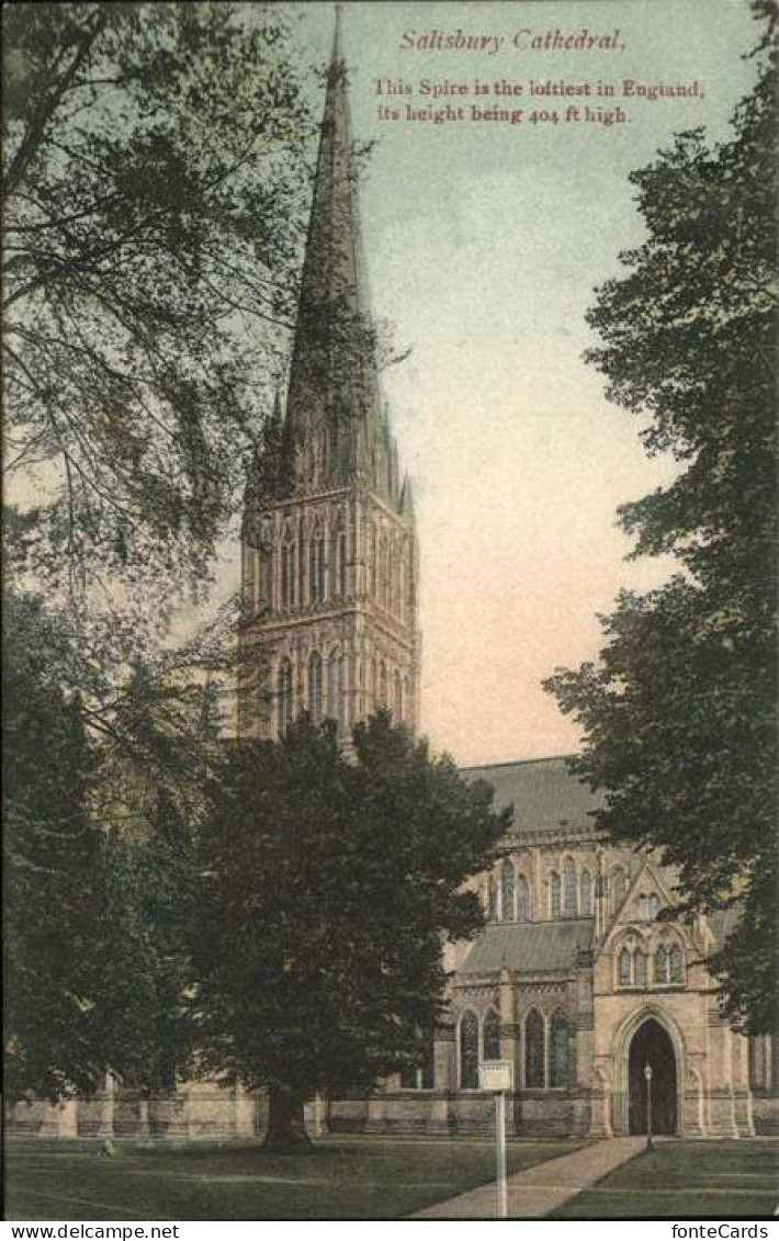 11193575 Salisbury Wiltshire Spire Salisbury - Sonstige & Ohne Zuordnung