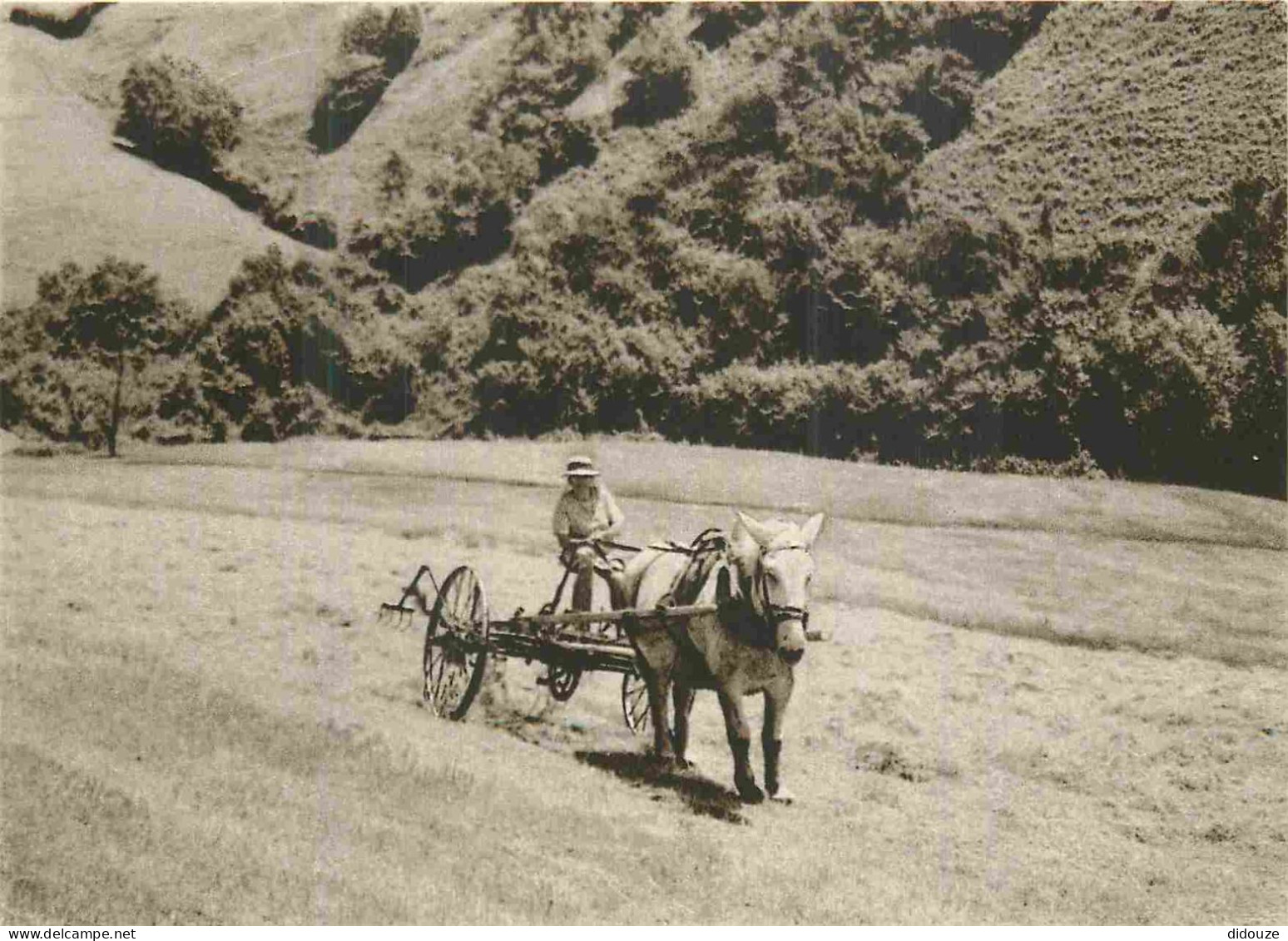 Reproduction CPA - Paysans - Travaux Des Champs En Béarn - Chevaux - CPM - Carte Neuve - Voir Scans Recto-Verso - Bauern