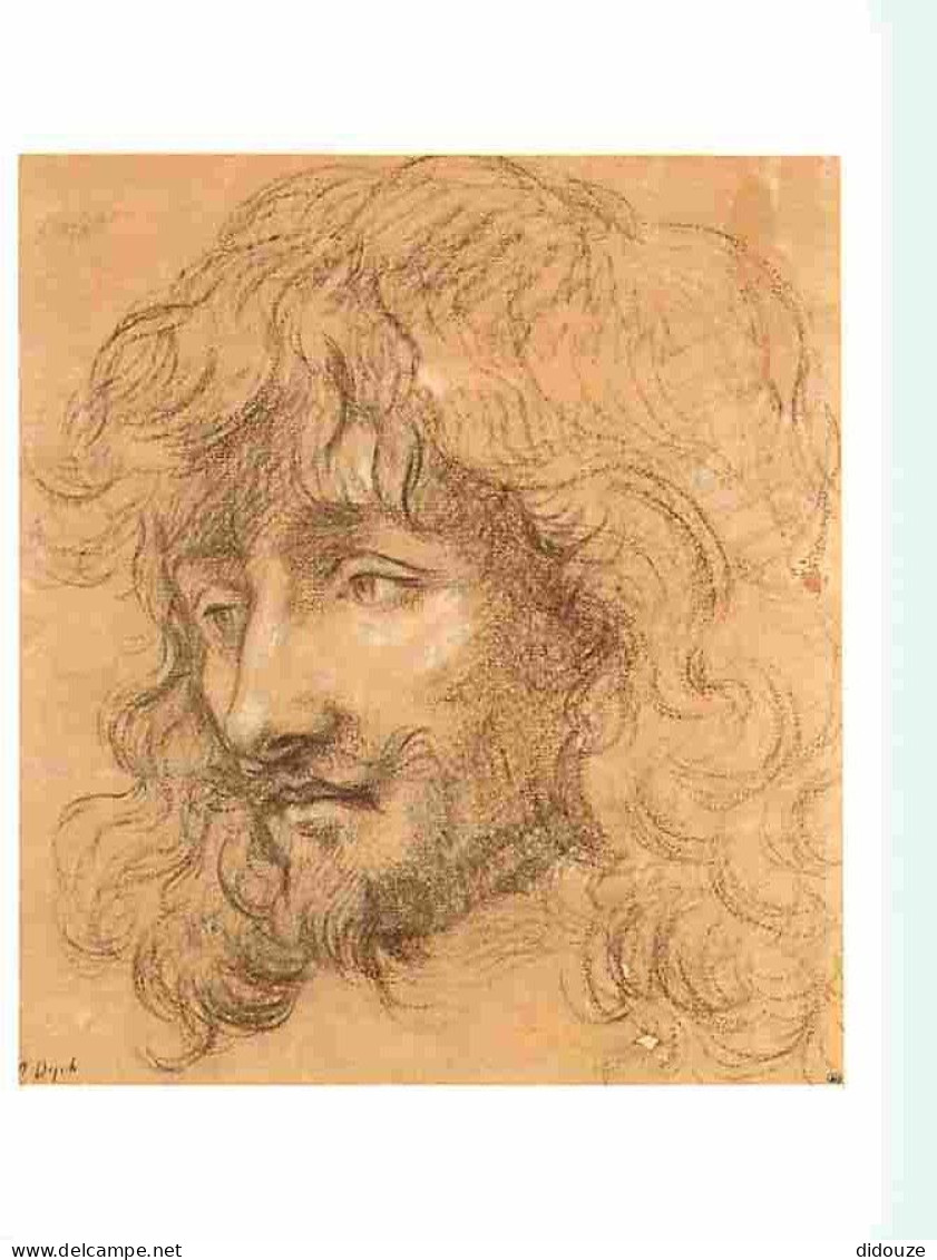 Art - Peinture - Antoon Van Dyck - Tete D'homme Vue De Trois-quart - Carte Neuve - Musée Du Louvre - CPM - Voir Scans Re - Peintures & Tableaux