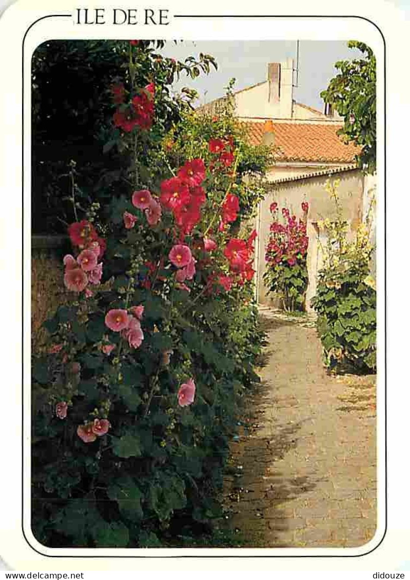 17 - Ile De Ré - Ruelle Fleurie De Roses Trémières - Carte Neuve - CPM - Voir Scans Recto-Verso - Ile De Ré