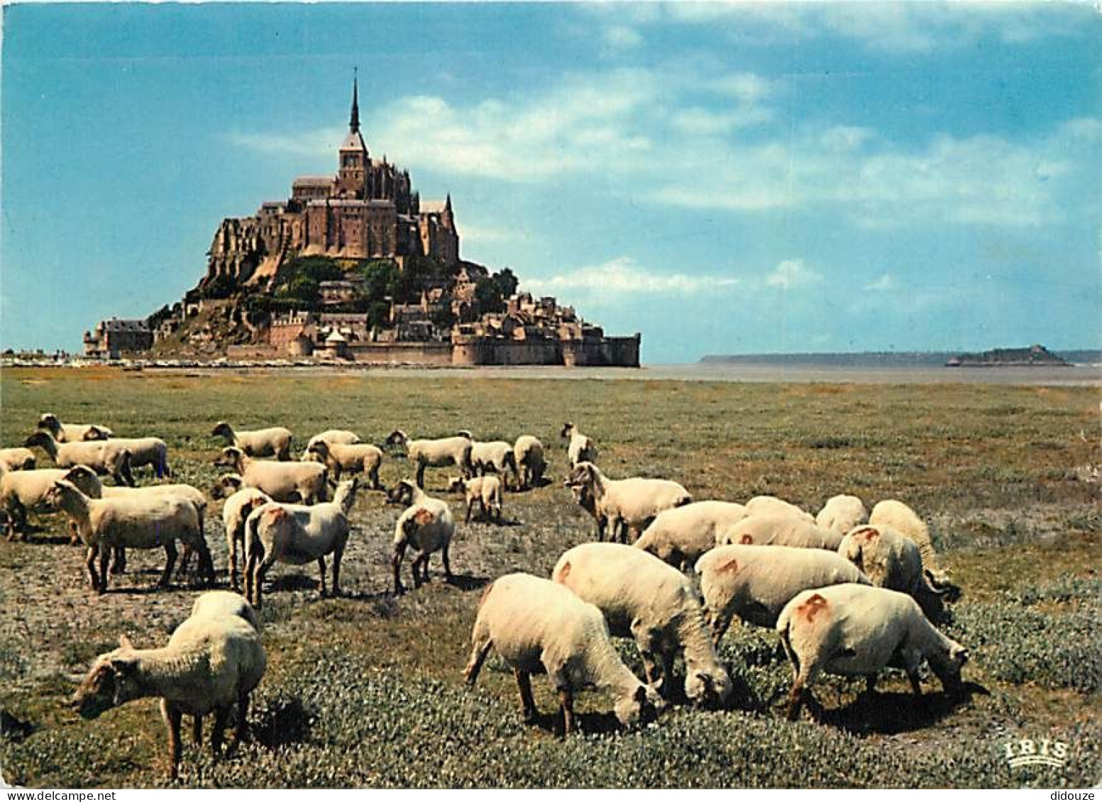 Animaux - Moutons - Le Mont Saint Michel - Le Rocher De Tombelaine Et Les Prés Salés - CPM - Voir Scans Recto-Verso - Autres & Non Classés