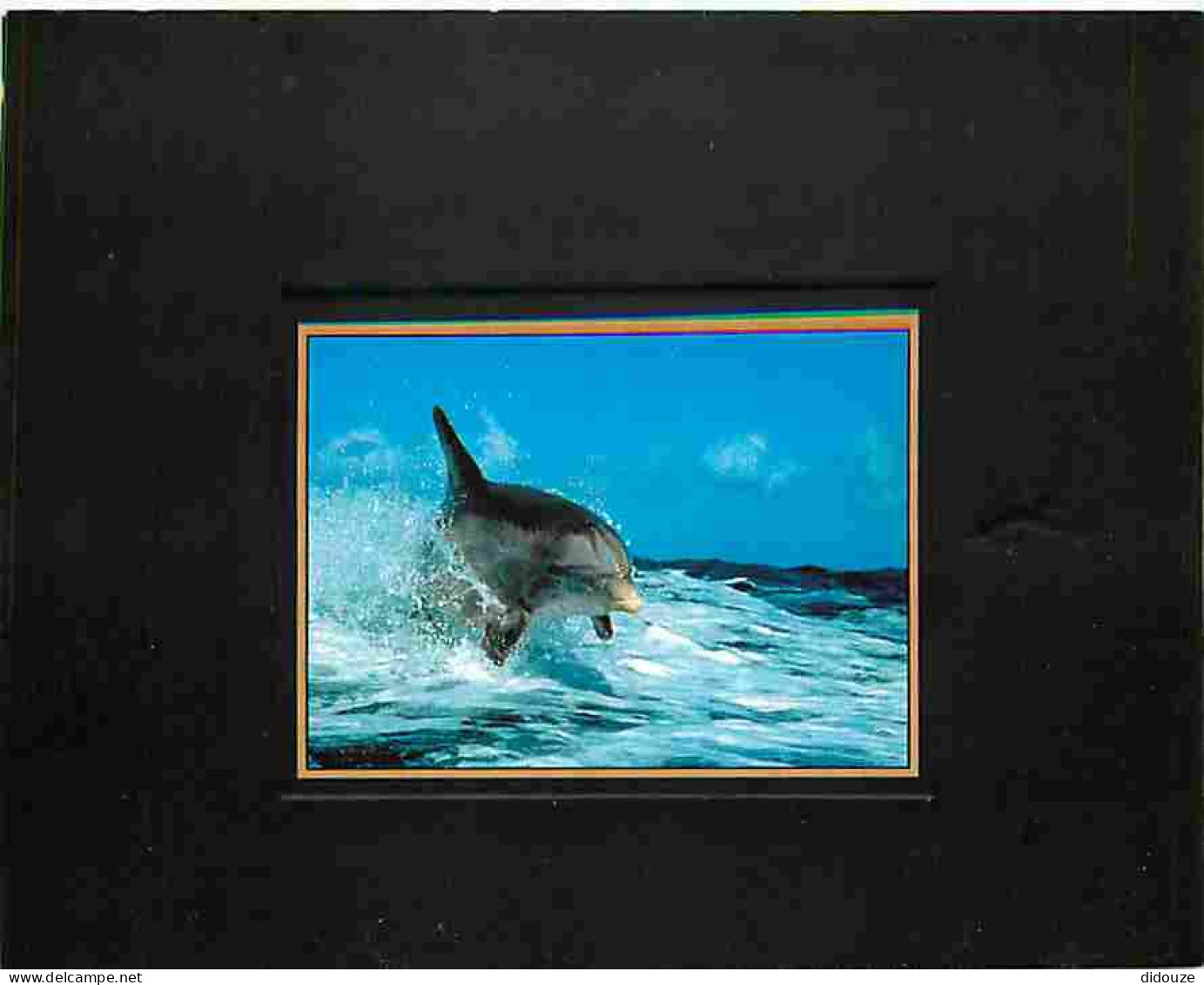Animaux - Dauphins - CPM - Voir Scans Recto-Verso - Delfines