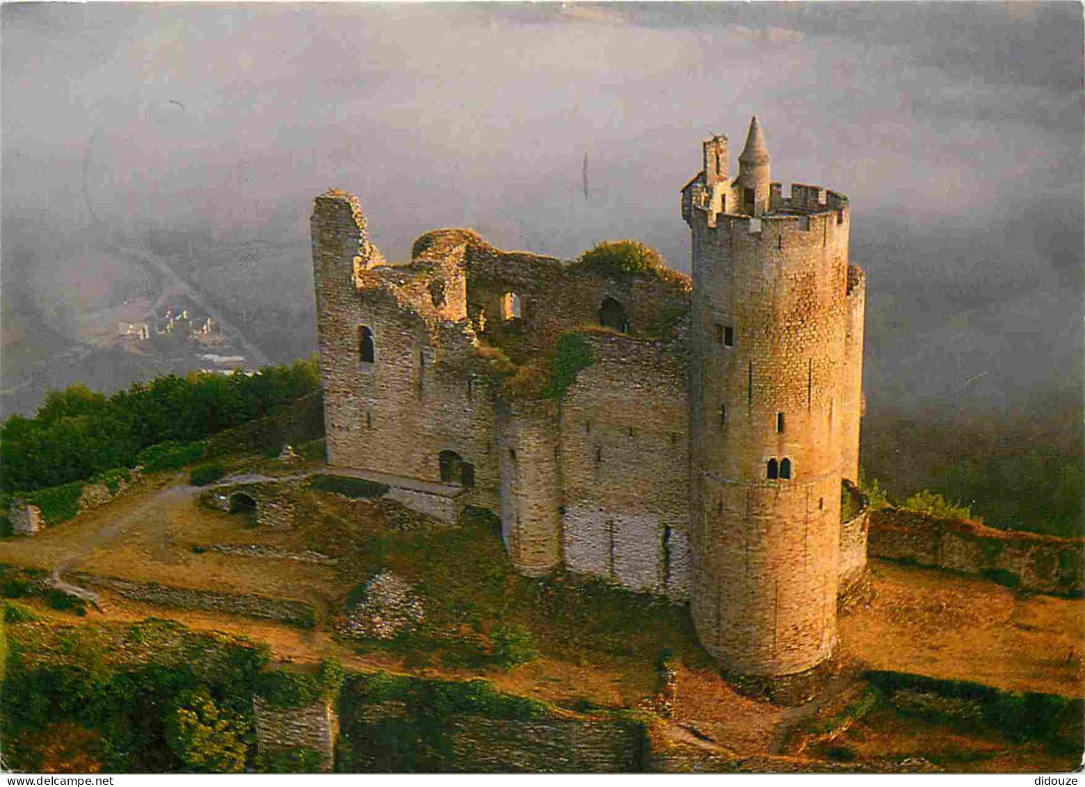 12 - Najac - Le Château - CPM - Voir Scans Recto-Verso - Najac