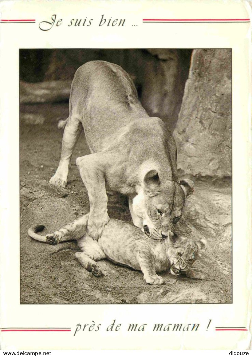 Animaux - Fauves - Lion - CPM - Voir Scans Recto-Verso - Lions