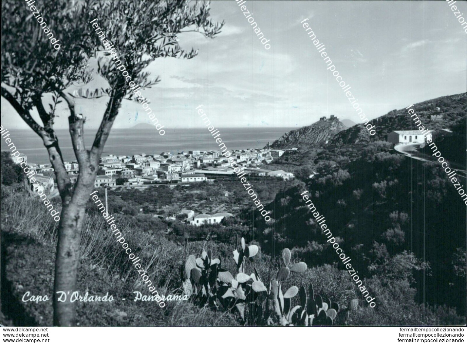 Bf633 Cartolina Capo D'orlando Panorama Provincia Di Messina - Messina