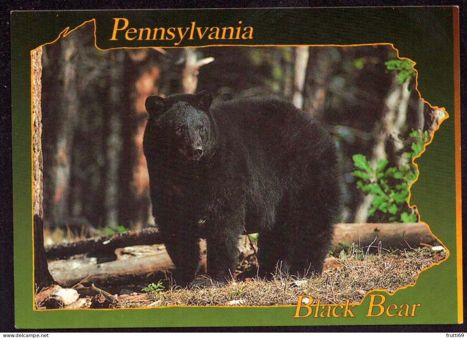 AK 212149 BEAR / BÄR - USA - Pennsylvania - Black Bear - Ours