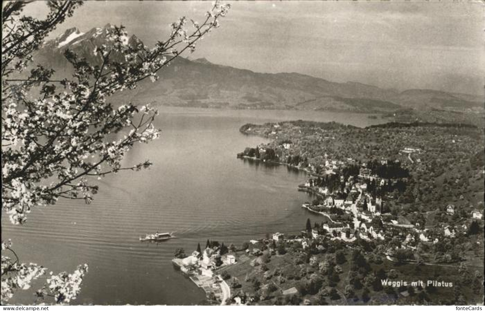 11192963 Weggis Vierwaldstaettersee Pilatus Weggis - Autres & Non Classés