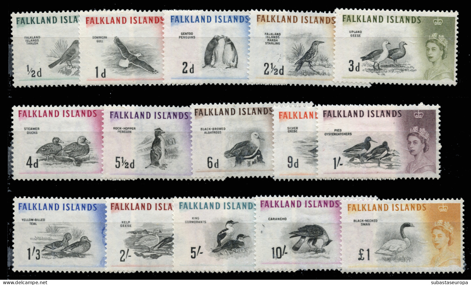 FALKLAND. * 122/36. Fauna. Preciosa Y Rara. Cat. 260 €. - Falkland Islands