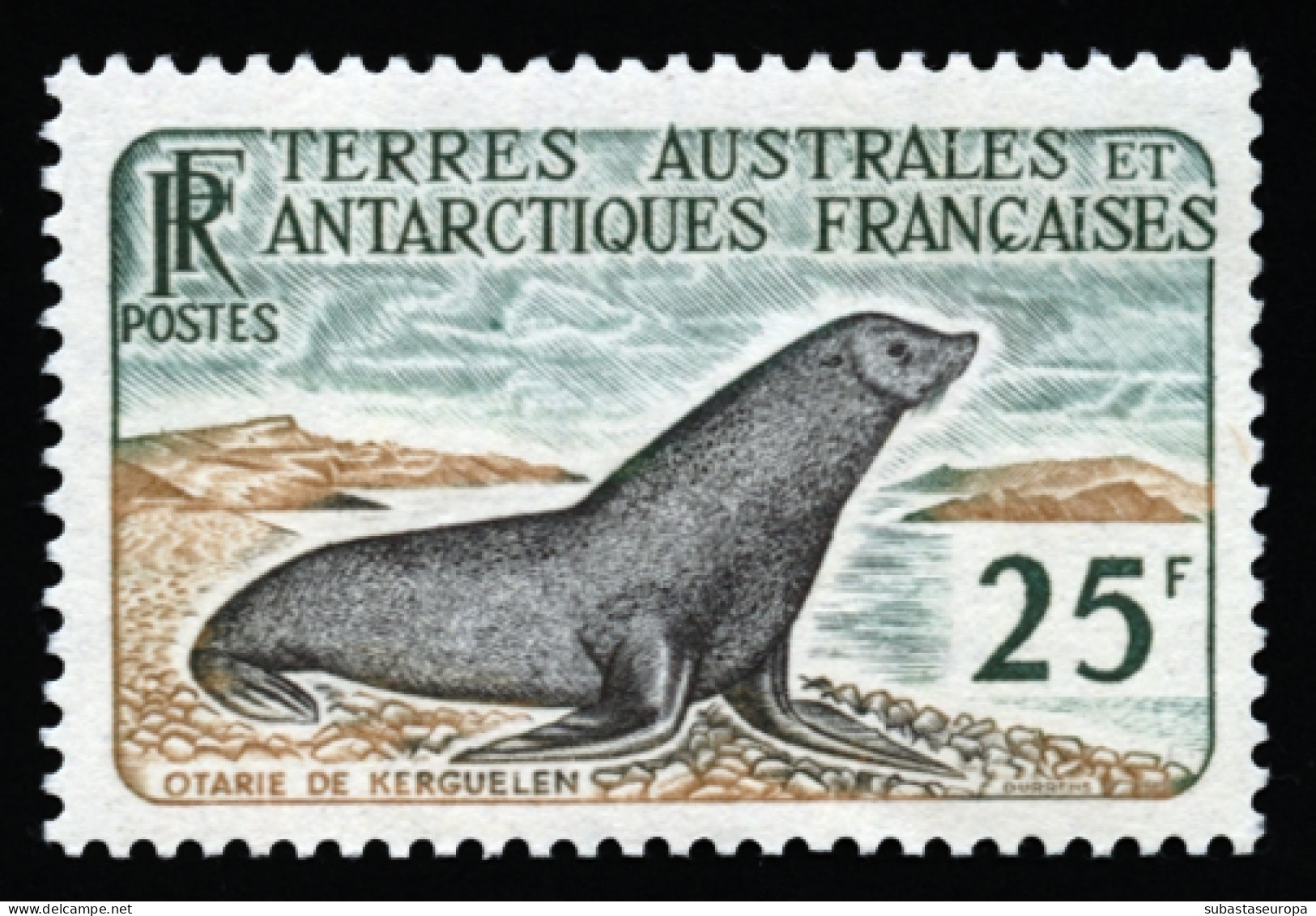 TAAF. ** 16. Foca. Cat. 142 €. - Unused Stamps