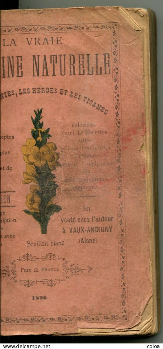 Edmond PIGEON La Vraie Médecine Naturelle Par Les Plantes Les Herbes Et Les Tisanes 1896 - 1801-1900