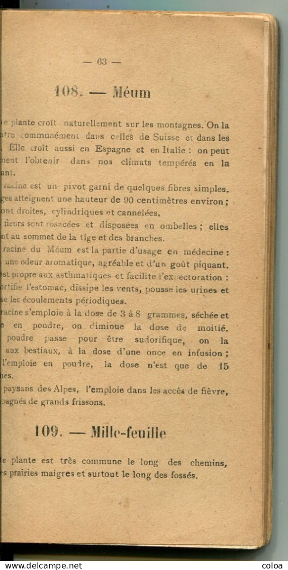 Edmond PIGEON La Vraie Médecine Naturelle Par Les Plantes Les Herbes Et Les Tisanes 1896 - 1801-1900