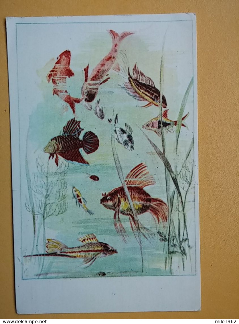 KOV 510-1 - FISH, POISSON, PECHEUR, FISHERMAN, PAINTING - Poissons Et Crustacés