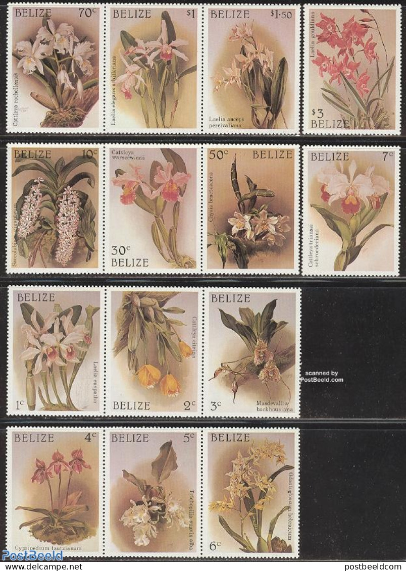 Belize/British Honduras 1987 Christmas, Orchids 14v, Mint NH, Nature - Religion - Flowers & Plants - Orchids - Christmas - Noël