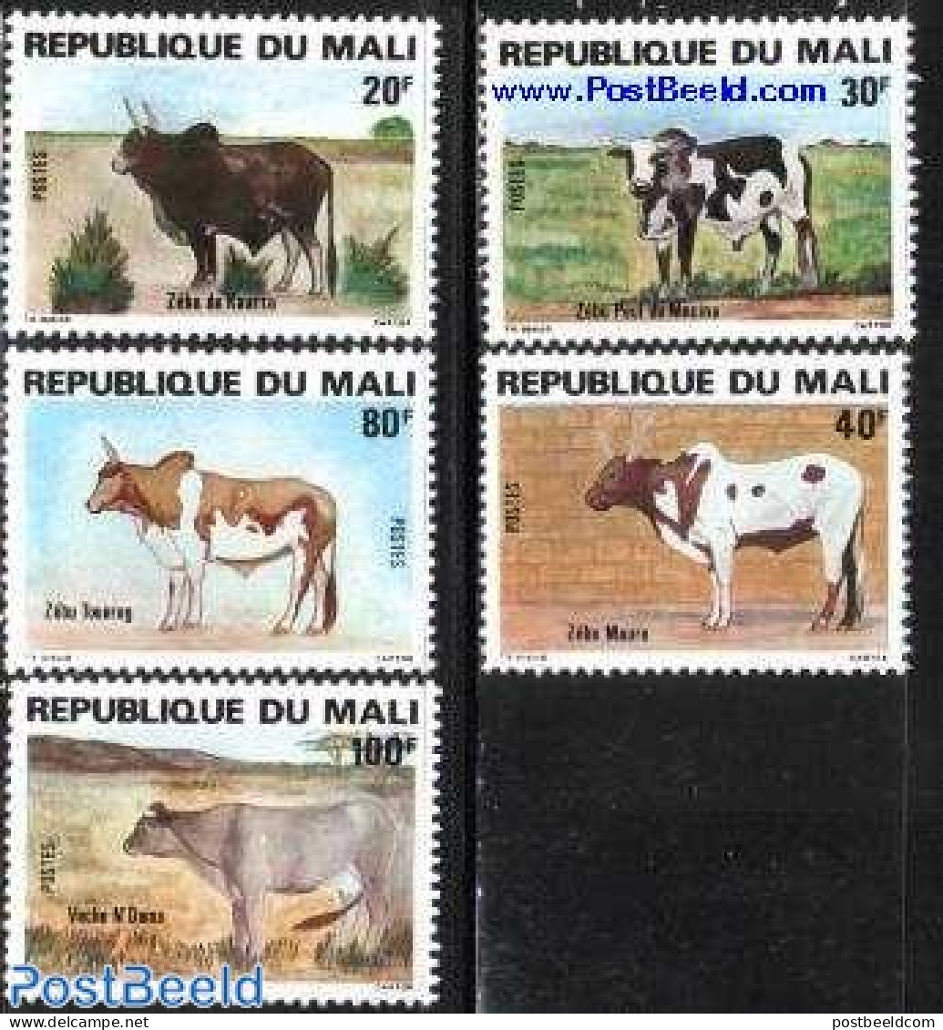 Mali 1981 Rinders 5v, Mint NH, Nature - Cattle - Mali (1959-...)