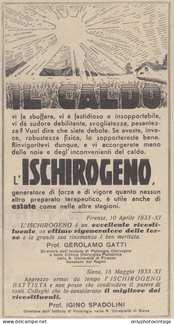 Ischirogeno - Prof. Gerolamo Gatti - Pubblicità D'epoca - 1933 Vintage Ad - Publicités