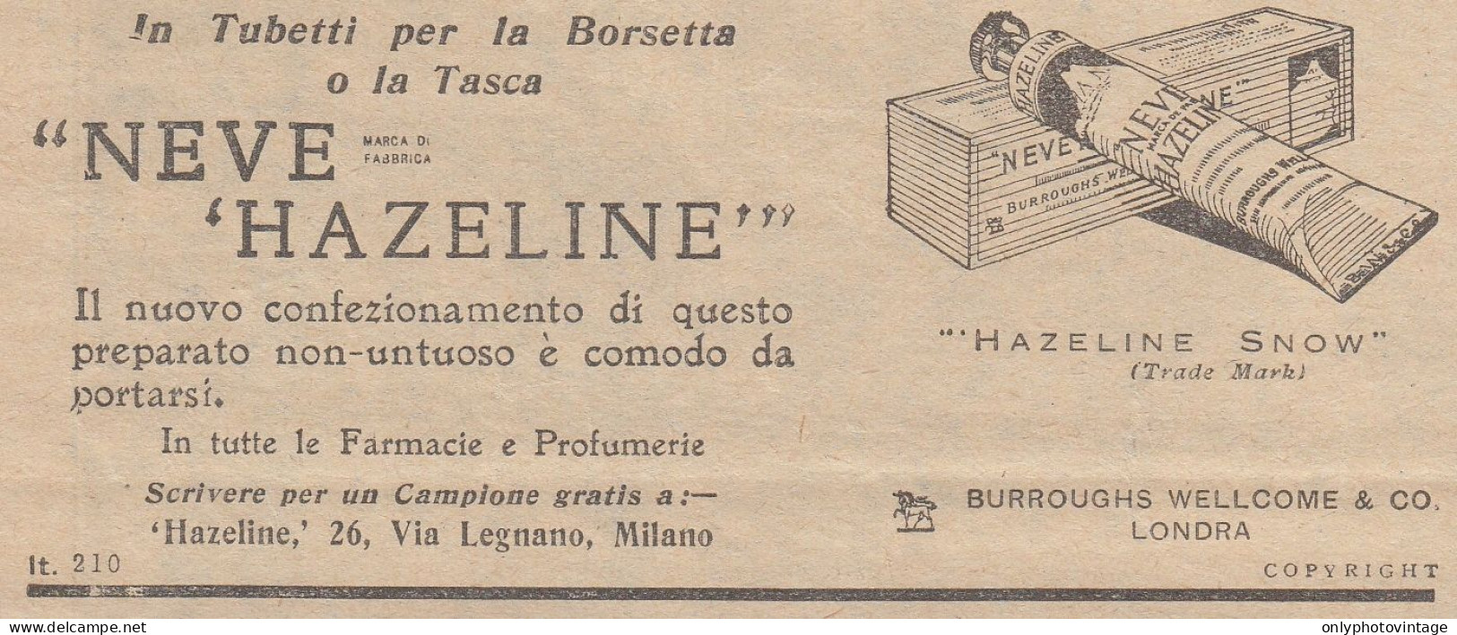 Neve Hazeline - Pubblicità D'epoca - 1931 Vintage Advertising - Publicités