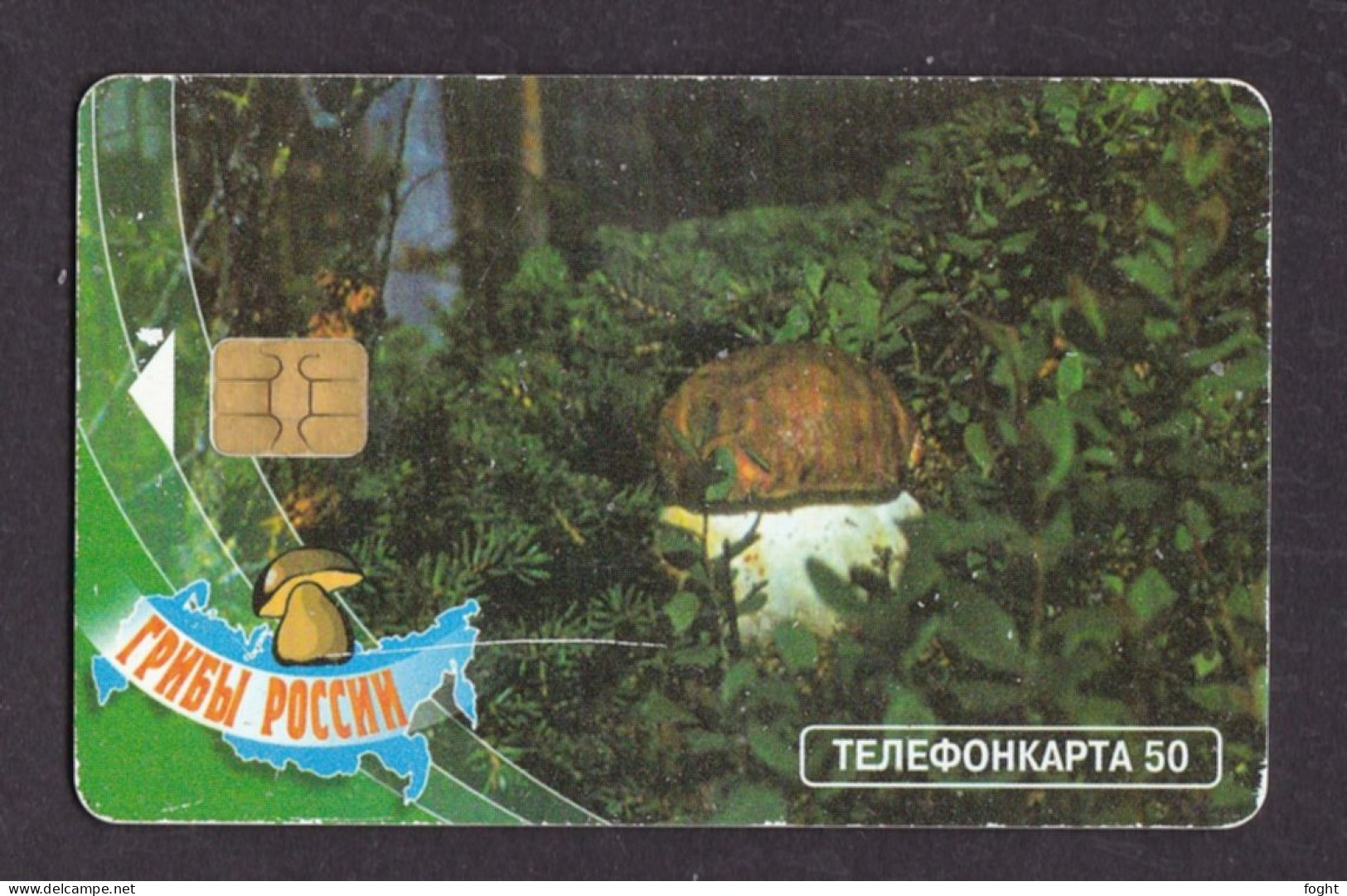 2000 Russia, Phonecard ›White Mushroom,50 Units,Col:RU-MG-TS-0111 - Rusland