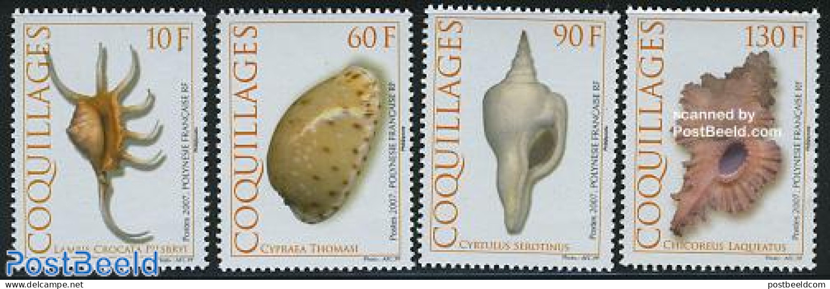French Polynesia 2007 Shells 4v, Mint NH, Nature - Shells & Crustaceans - Unused Stamps