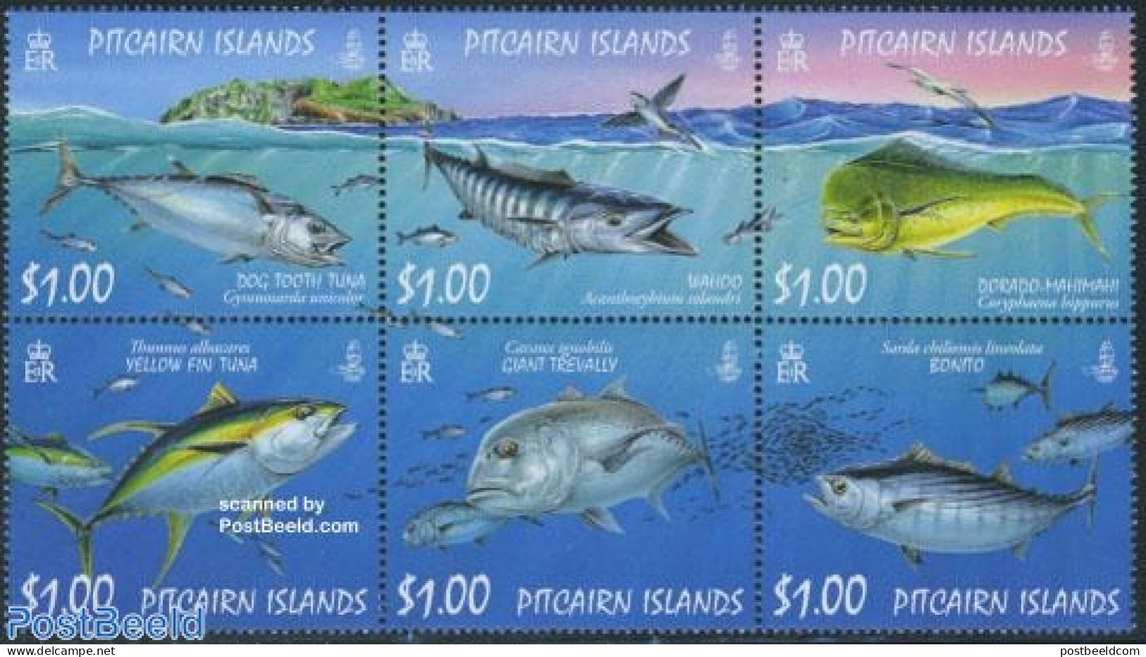 Pitcairn Islands 2007 Fish 6v [++], Mint NH, Nature - Fish - Vissen