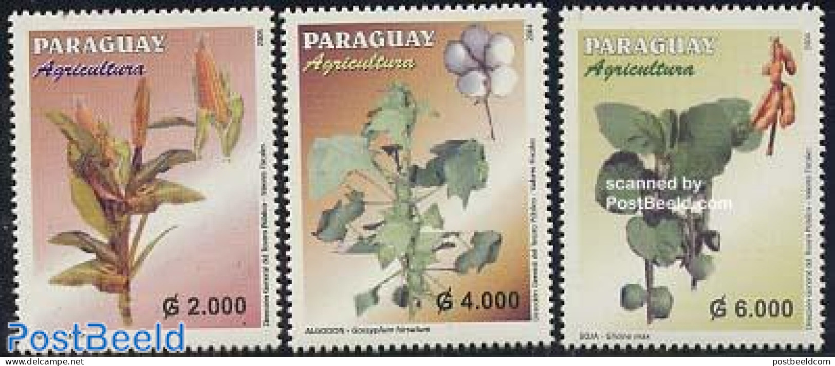 Paraguay 2004 Agriculture, Plants 3v, Mint NH, Nature - Flowers & Plants - Paraguay