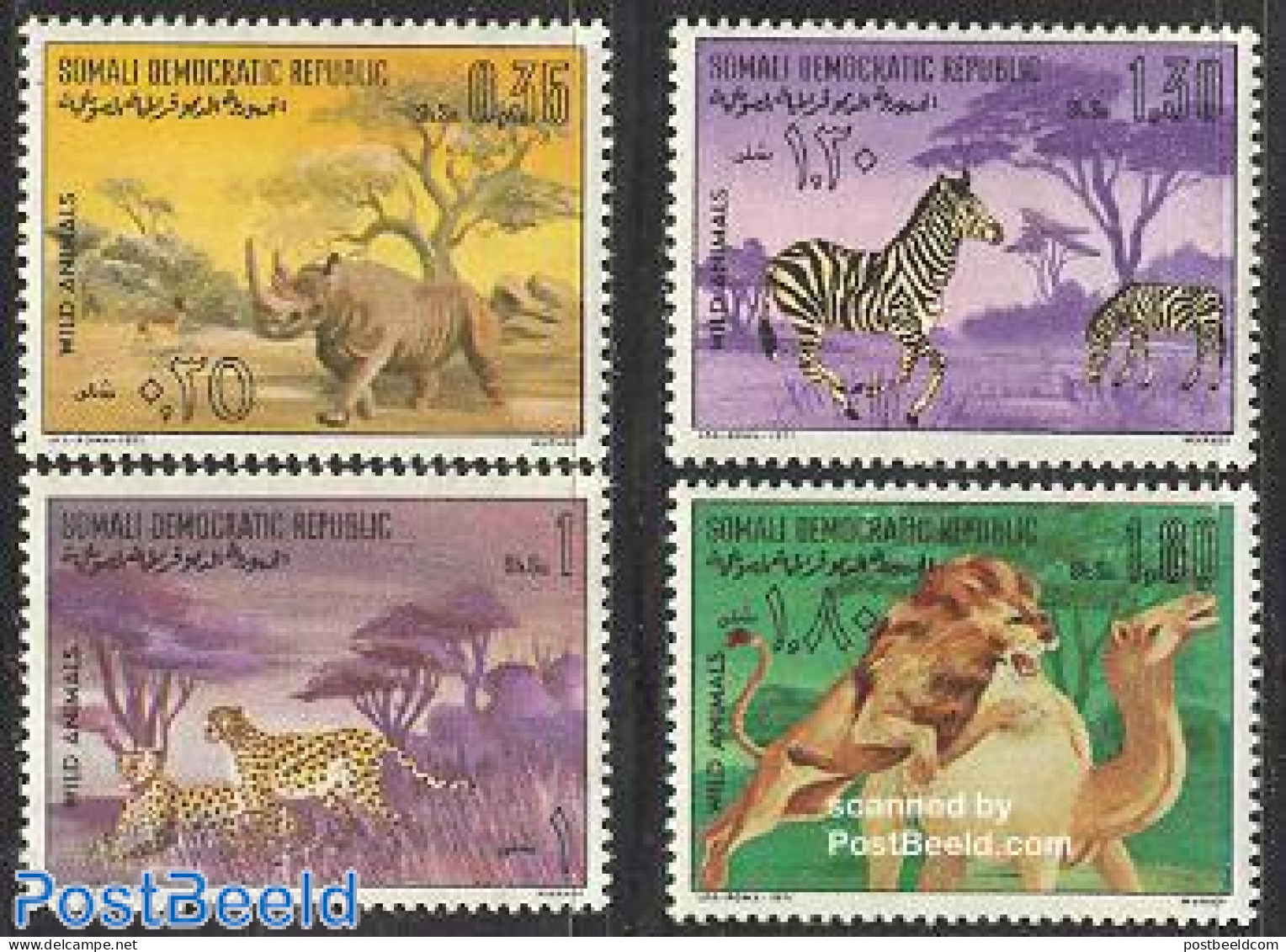 Somalia 1971 Animals 4v, Mint NH, Nature - Animals (others & Mixed) - Camels - Cat Family - Giraffe - Rhinoceros - Zebra - Somalia (1960-...)