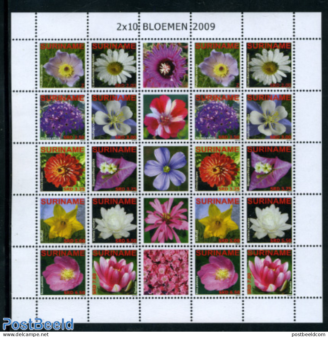 Suriname, Republic 2009 Flowers M/s (with 2 Sets), Mint NH, Nature - Flowers & Plants - Surinam