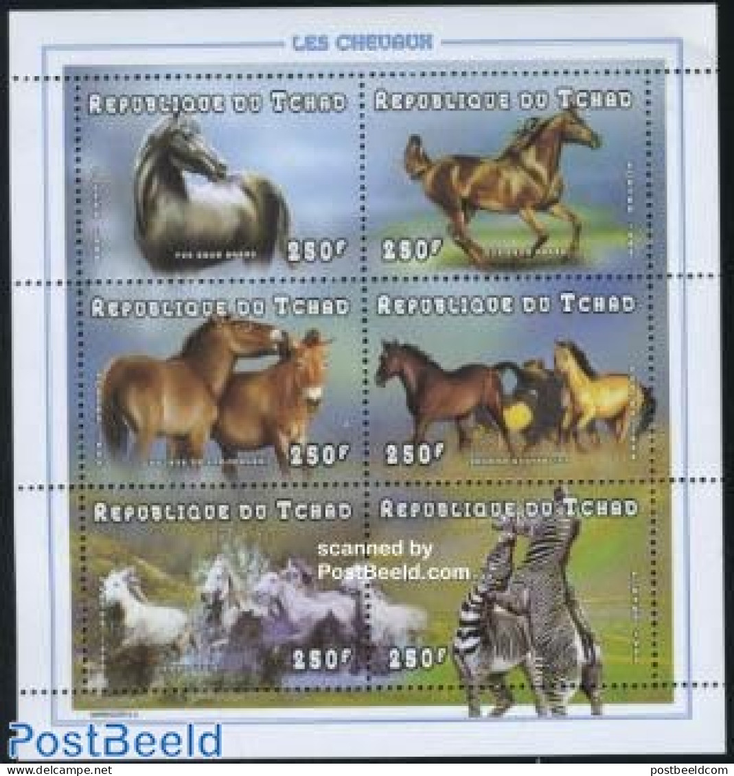 Chad 1998 Horses 6v M/s, Mint NH, Nature - Horses - Other & Unclassified