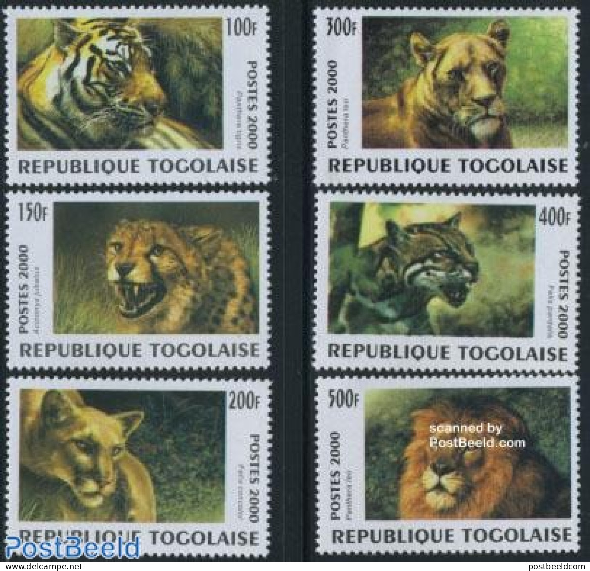 Togo 2000 Catlikes 6v, Mint NH, Nature - Animals (others & Mixed) - Cat Family - Togo (1960-...)