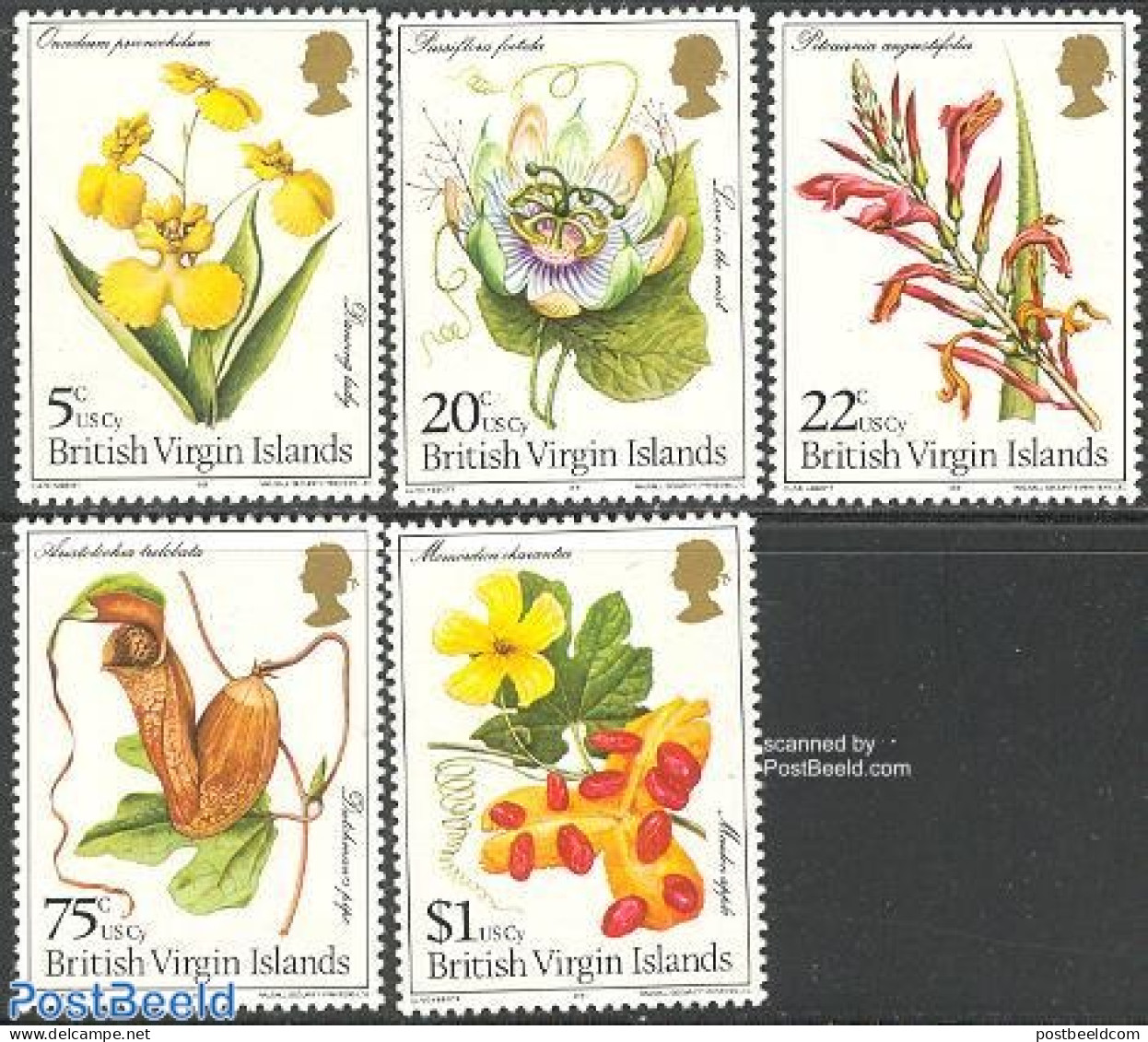 Virgin Islands 1981 Flowers 5v, Mint NH, Nature - Flowers & Plants - British Virgin Islands