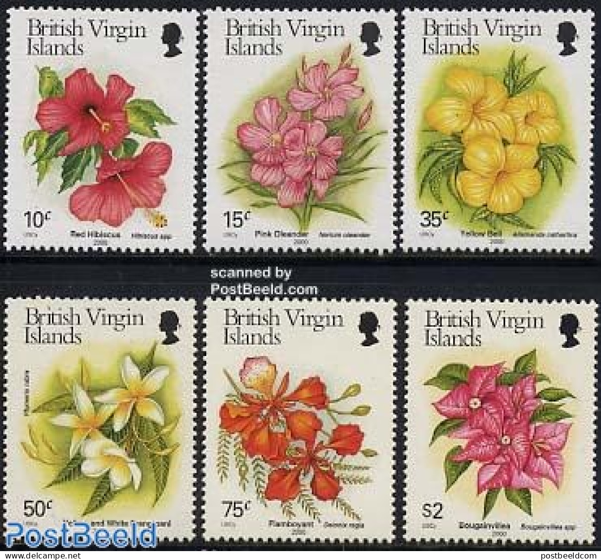 Virgin Islands 2000 Flowers 6v, Mint NH, Nature - Flowers & Plants - Iles Vièrges Britanniques