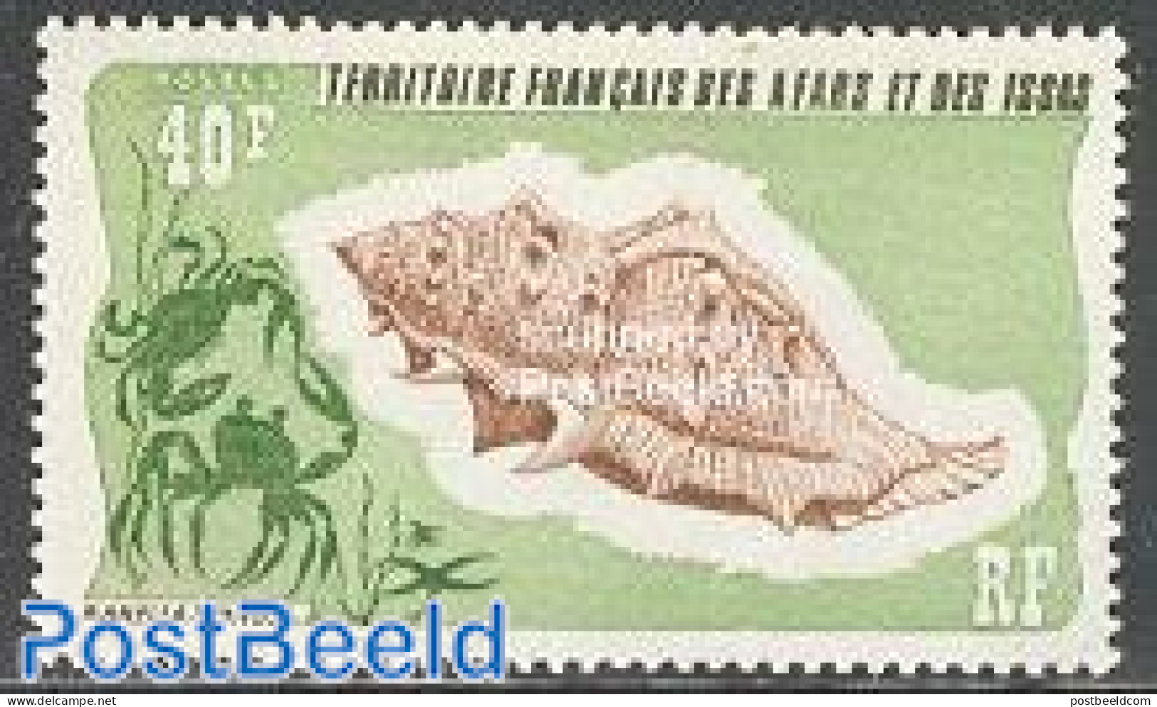 Afars And Issas 1975 Shells 1v, Mint NH, Nature - Shells & Crustaceans - Ongebruikt