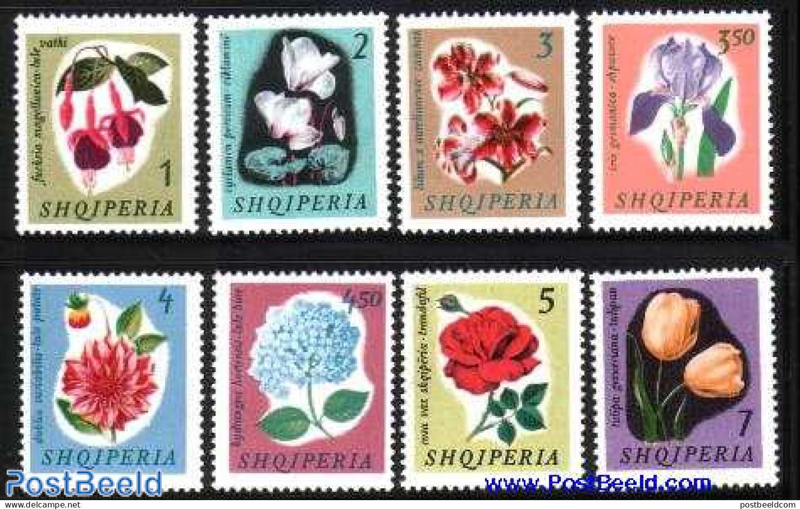 Albania 1965 Flowers 8v, Mint NH, Nature - Flowers & Plants - Roses - Albania
