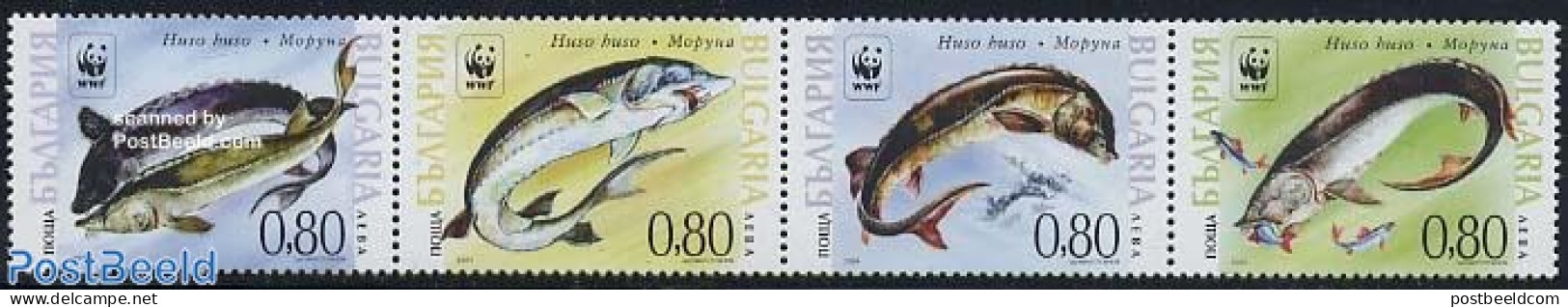 Bulgaria 2004 WWF, Fish 4v [:::], Mint NH, Nature - Fish - World Wildlife Fund (WWF) - Neufs