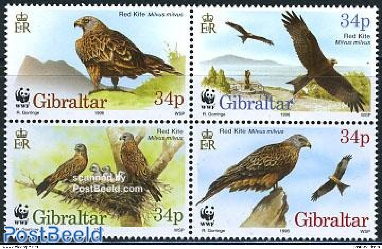 Gibraltar 1996 WWF, Birds 4v [:::] Or [+], Mint NH, Nature - Birds Of Prey - World Wildlife Fund (WWF) - Gibraltar