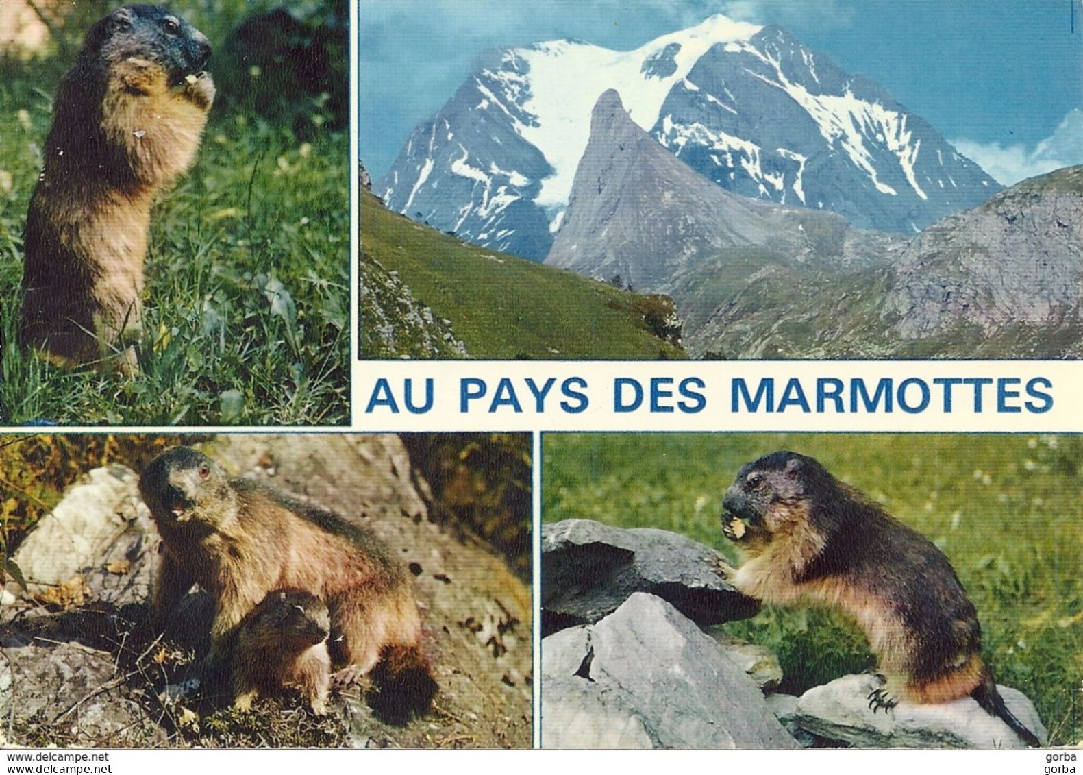 *CPM - Au Pays Des Marmottes - Multivues - Autres & Non Classés