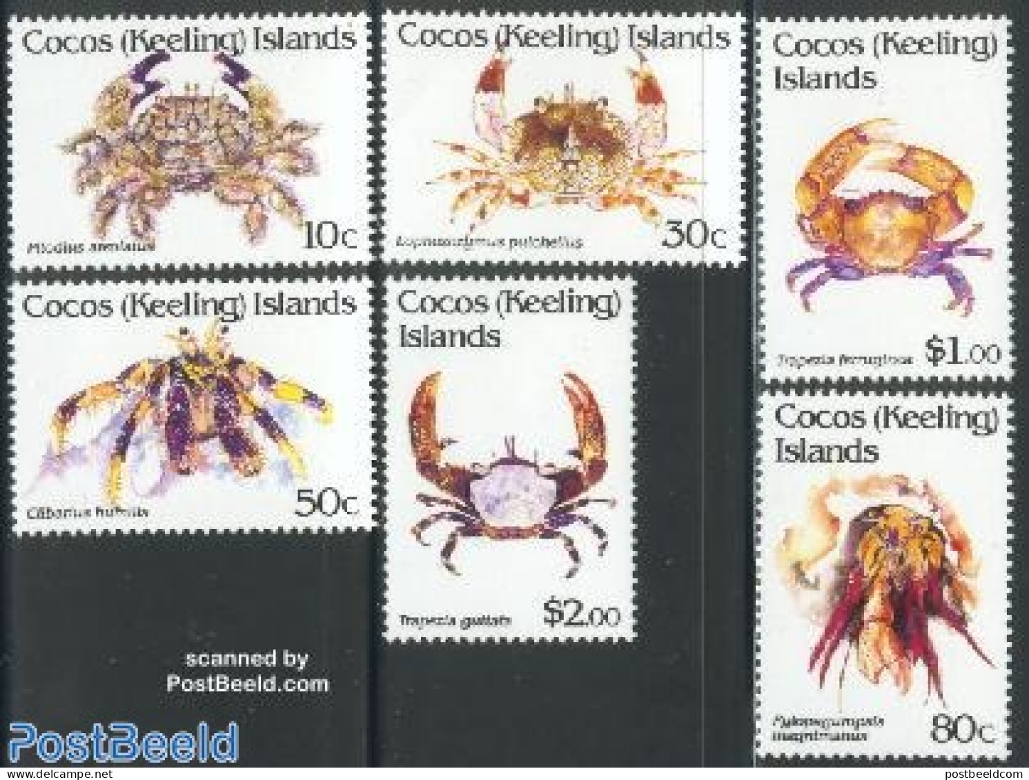 Cocos Islands 1992 Crabs 6v, Mint NH, Nature - Shells & Crustaceans - Crabs And Lobsters - Vie Marine
