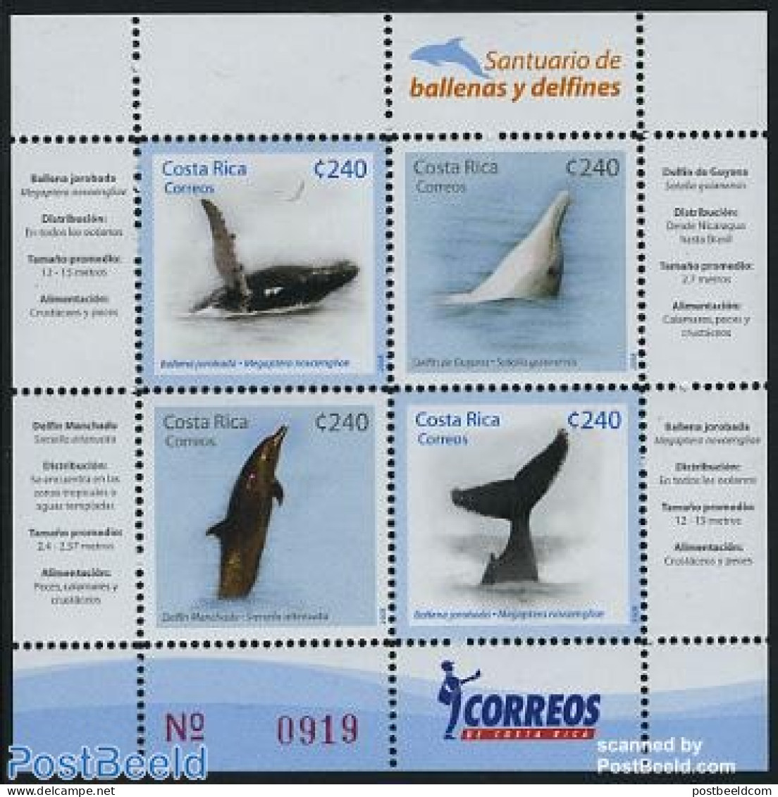 Costa Rica 2008 Whales & Dolphins 4v M/s, Mint NH, Nature - Sea Mammals - Costa Rica