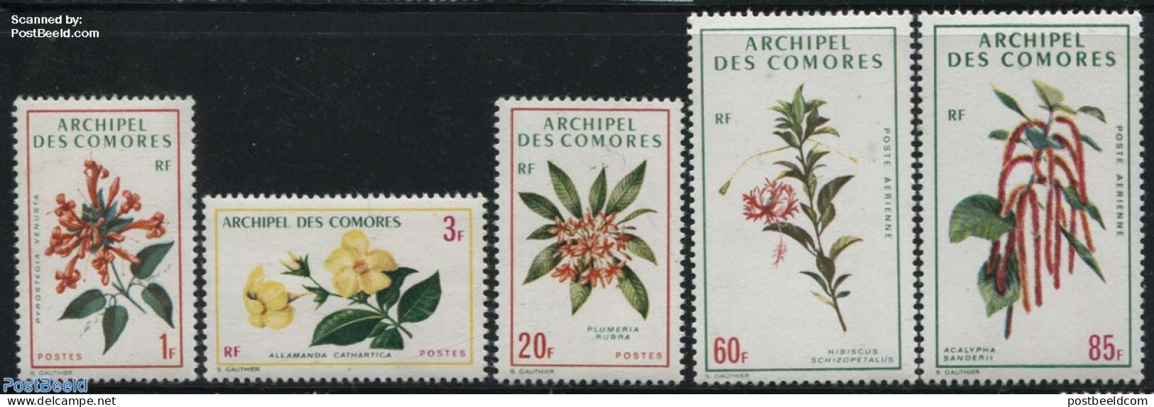Comoros 1971 Flowers 5v, Unused (hinged), Nature - Flowers & Plants - Comores (1975-...)