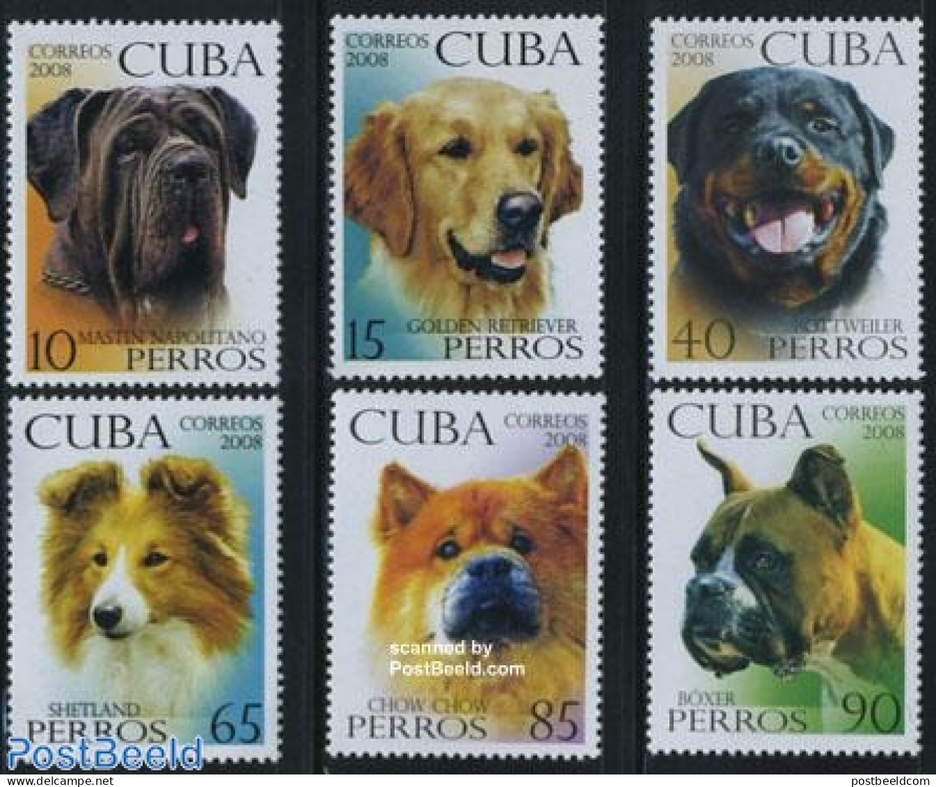 Cuba 2008 Dogs 6v, Mint NH, Nature - Dogs - Neufs