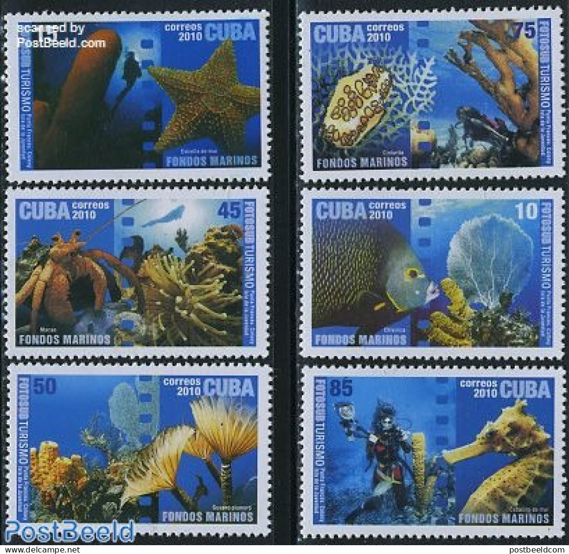 Cuba 2010 Underwater Photography 6v, Mint NH, Nature - Sport - Fish - Diving - Art - Photography - Nuovi