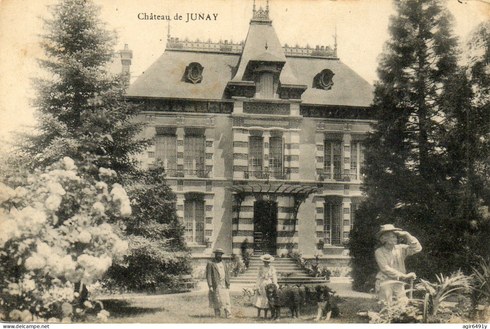 - JUNAY (89) -  Le Château  (animée, Texte à Lire!)  -27059- - Autres & Non Classés