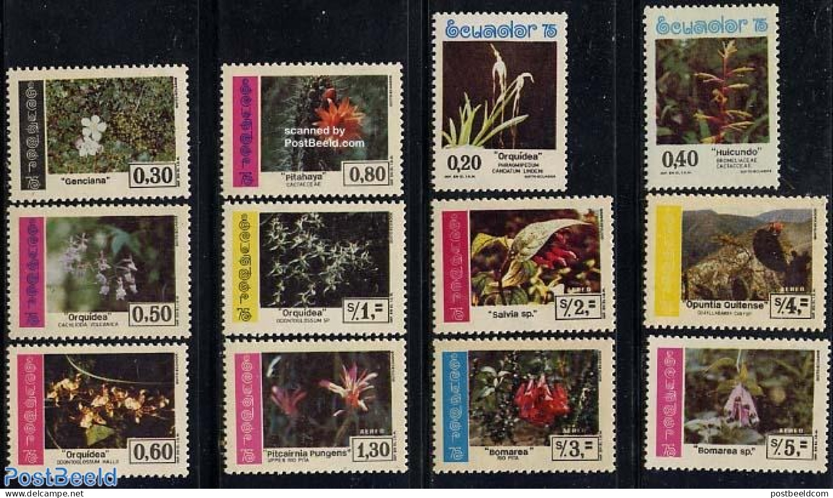 Ecuador 1975 Flora Of The Amazonas 12v, Mint NH, Nature - Flowers & Plants - Ecuador