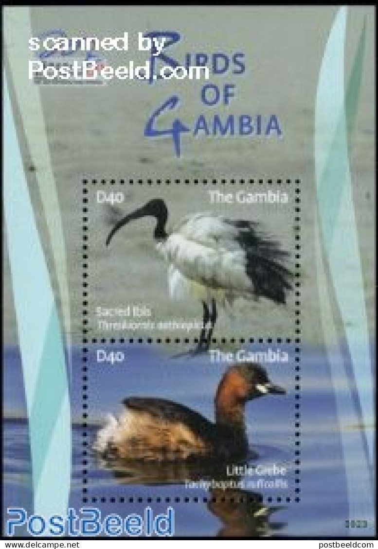 Gambia 2009 Birds Of Gambia S/s, Mint NH, Nature - Birds - Ducks - Gambia (...-1964)