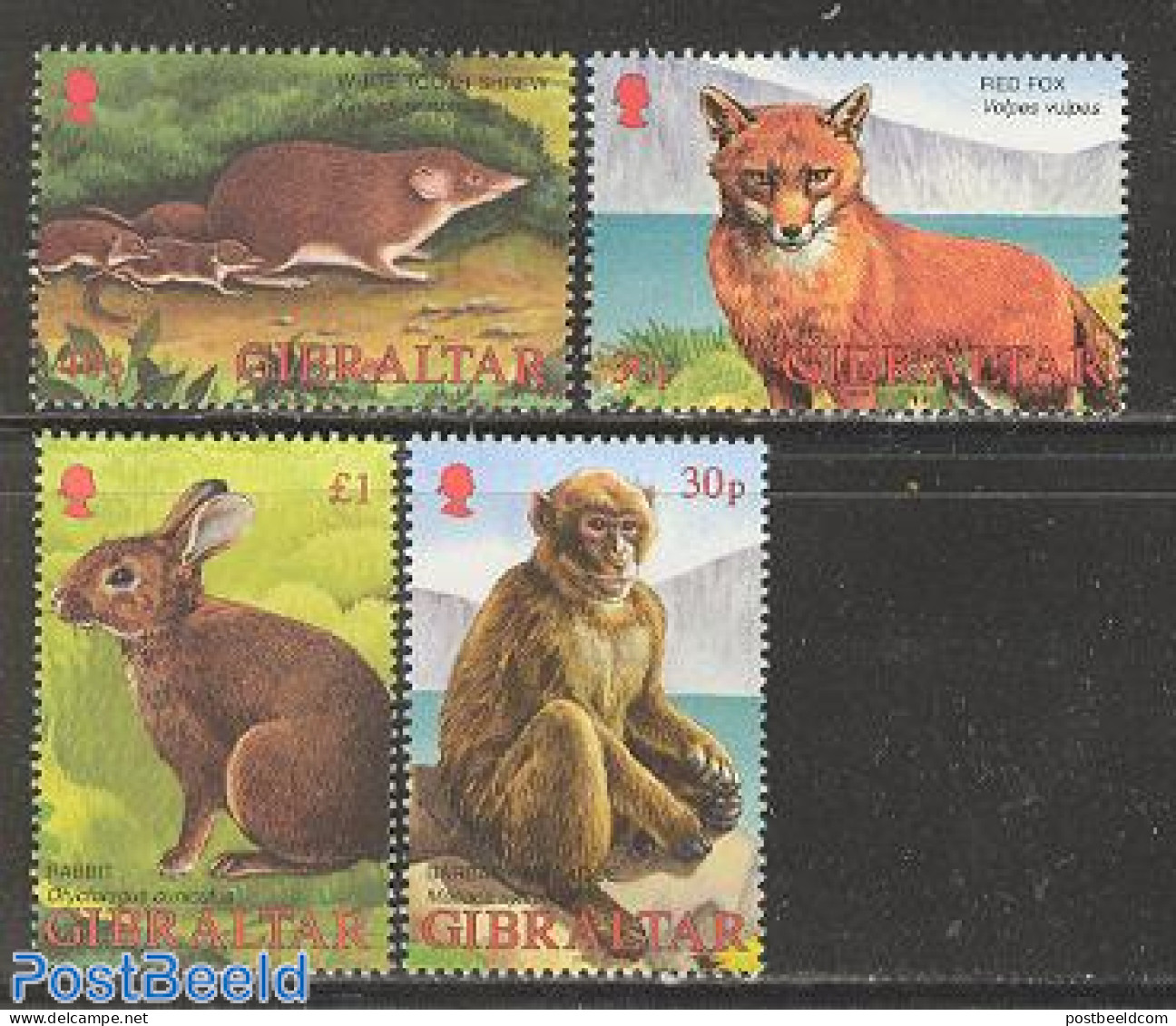 Gibraltar 2002 Animals 4v, Mint NH, Nature - Animals (others & Mixed) - Monkeys - Rabbits / Hares - Gibraltar