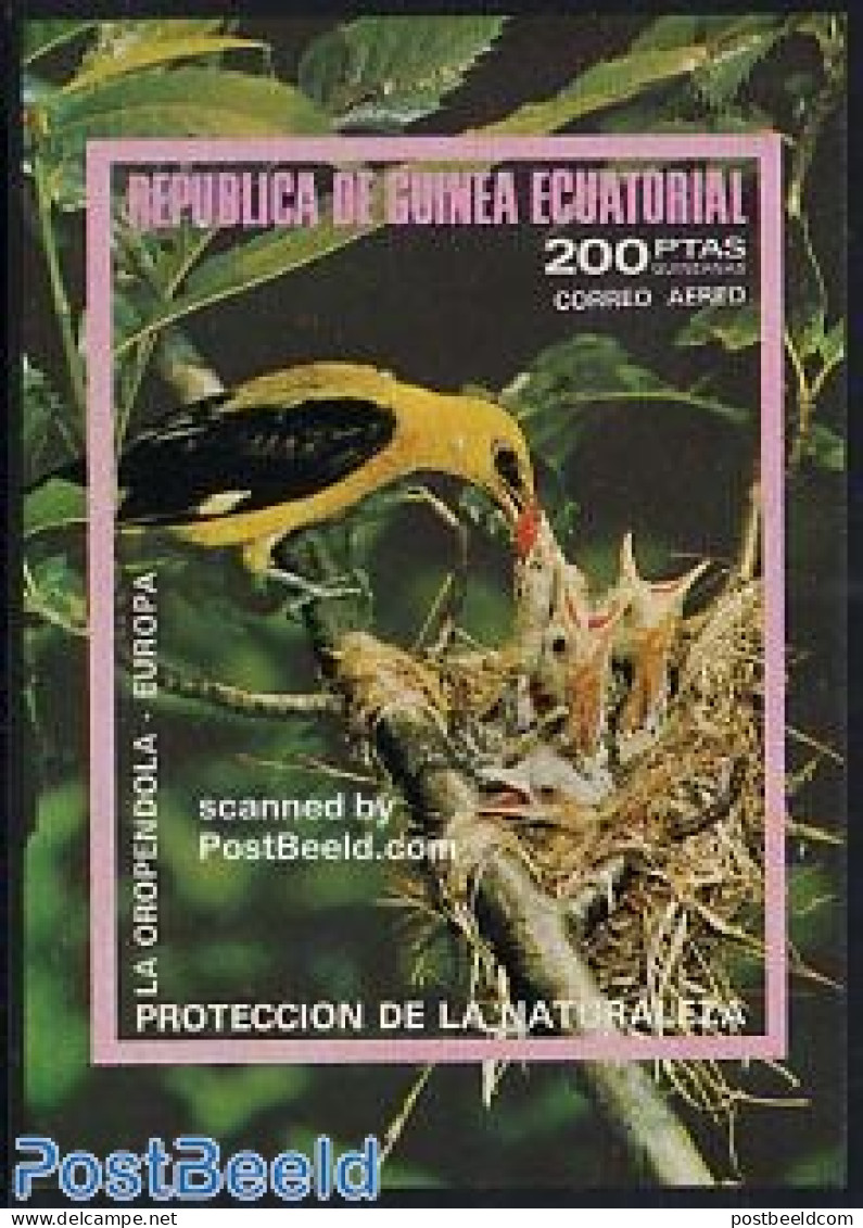 Equatorial Guinea 1976 European Birds S/s Imperforated, Mint NH, Nature - Birds - Equatorial Guinea