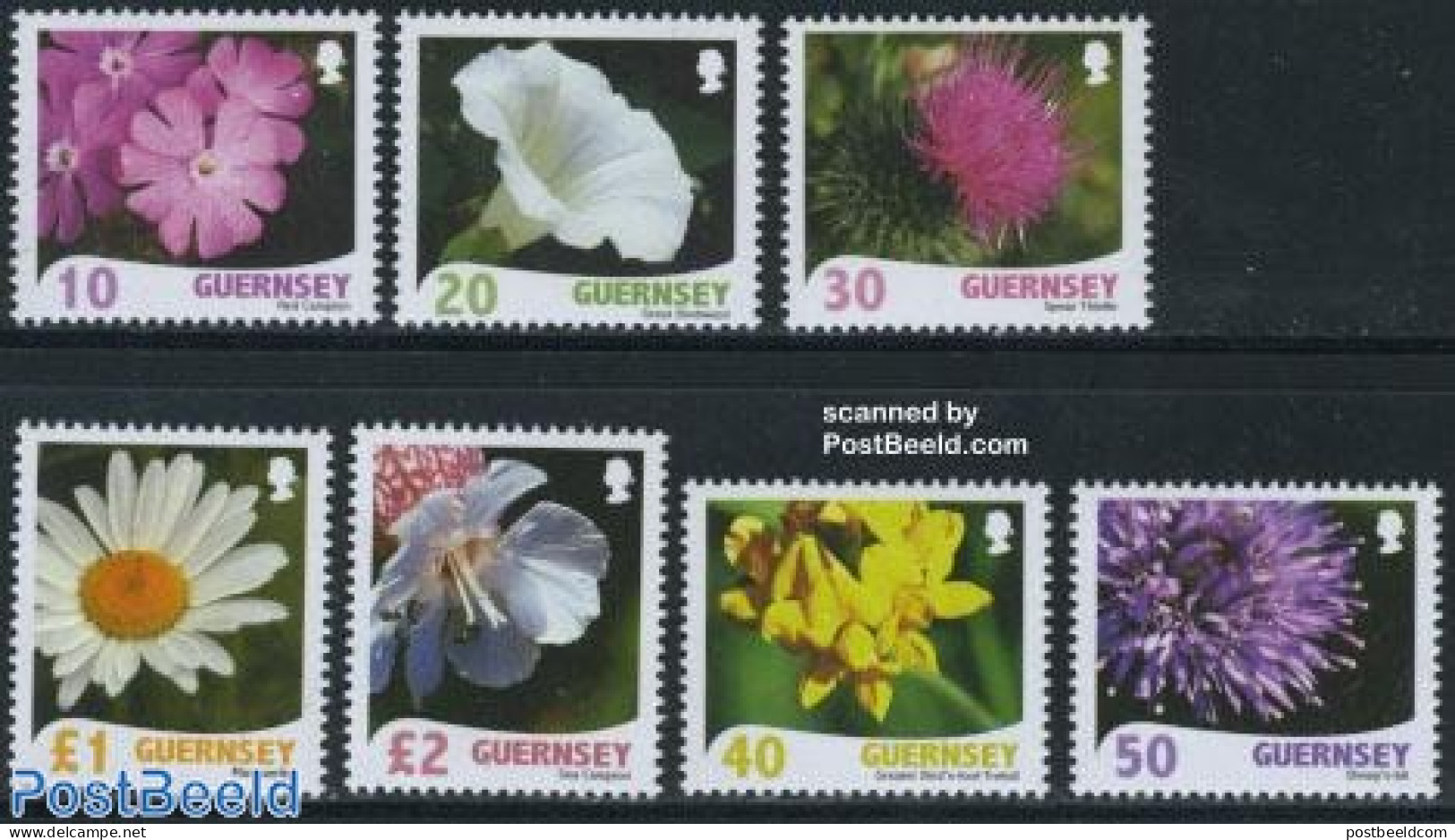 Guernsey 2008 Definitives, Flowers 7v, Mint NH, Nature - Flowers & Plants - Guernsey