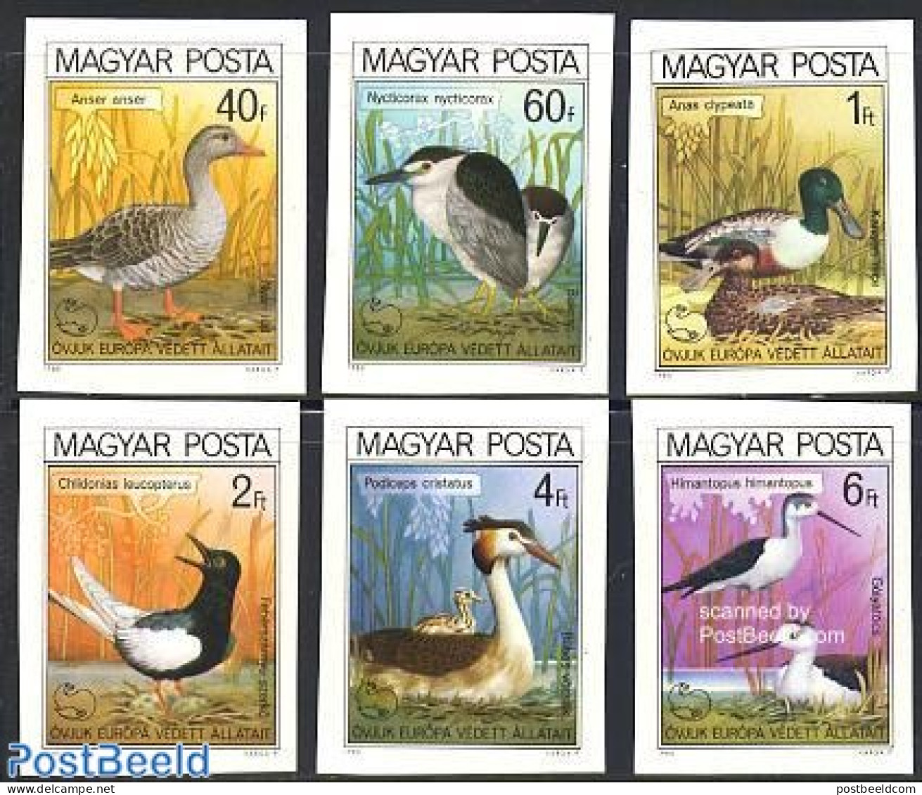Hungary 1980 European Nature Conservation 6v Imperforated, Mint NH, History - Nature - Europa Hang-on Issues - Birds -.. - Ungebraucht