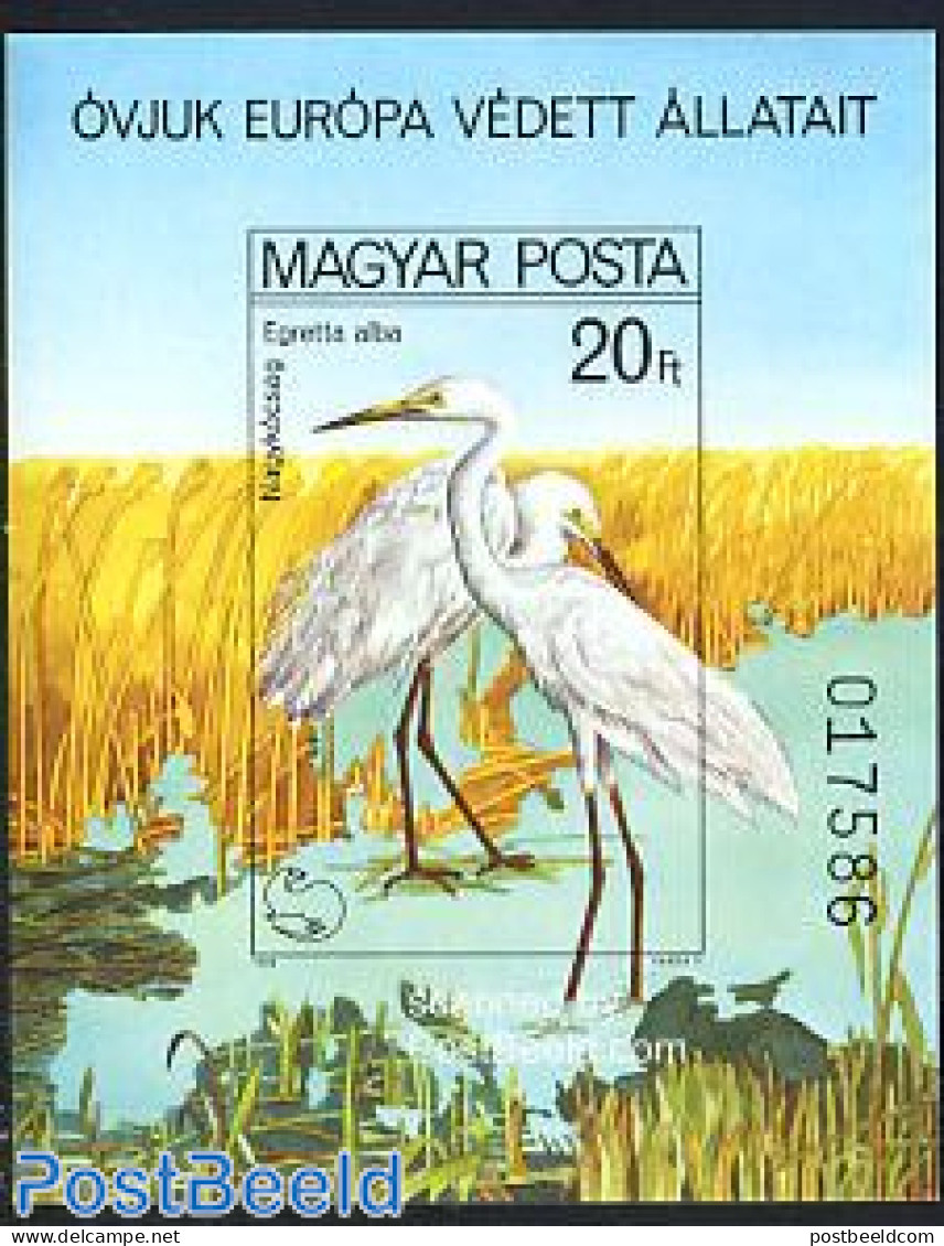 Hungary 1980 European Nature Conservation S/s Imperforated, Mint NH, History - Nature - Europa Hang-on Issues - Birds - Ungebraucht