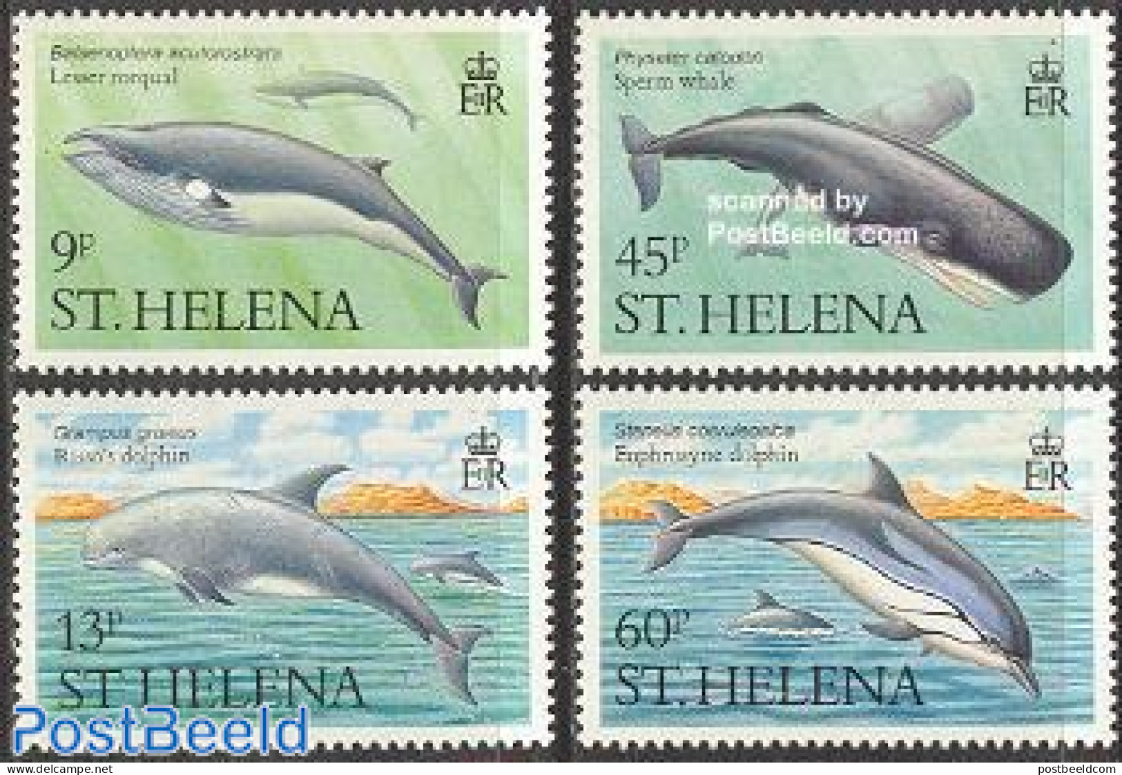 Saint Helena 1987 Whales 4v, Mint NH, Nature - Sea Mammals - Sainte-Hélène