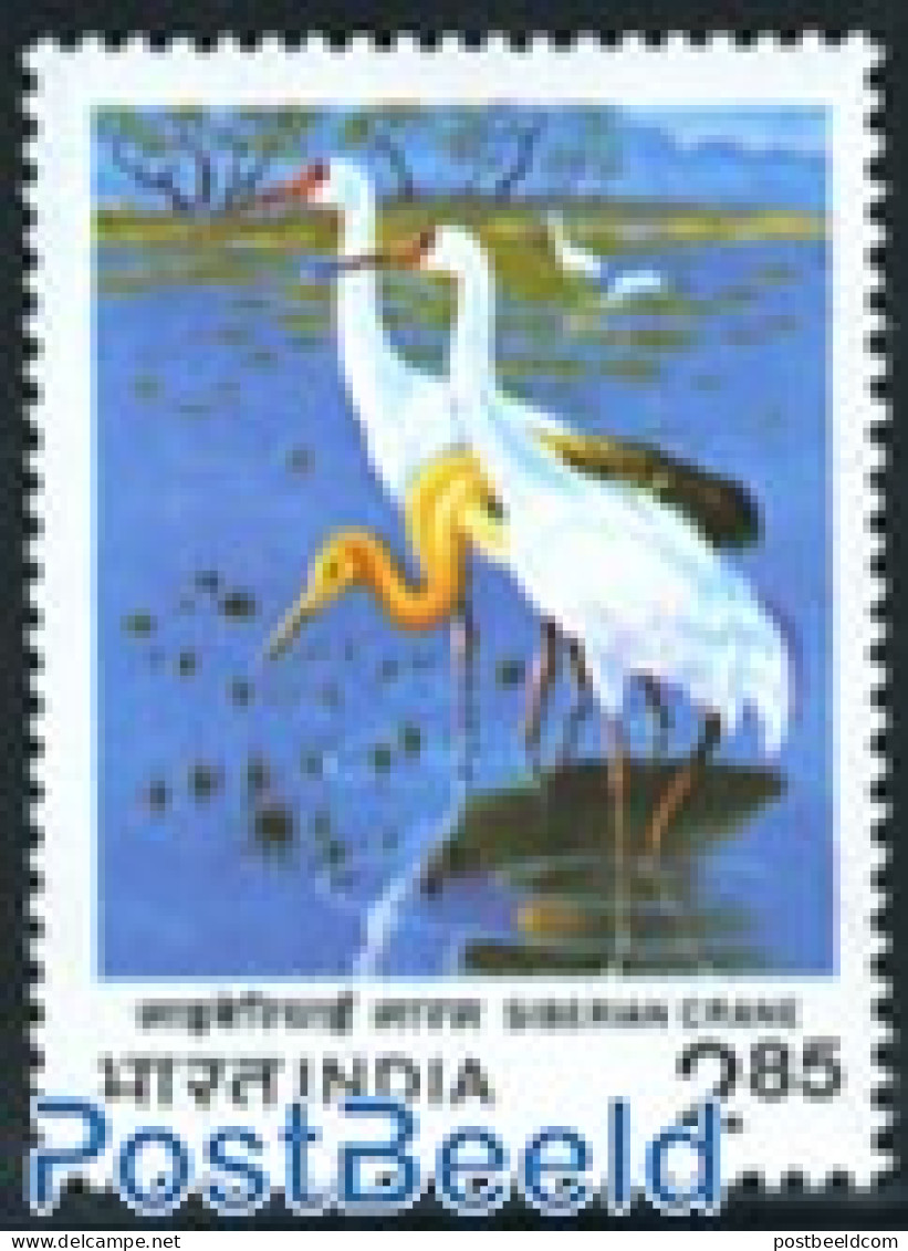India 1983 Siberian Crane 1v, Mint NH, Nature - Birds - Neufs